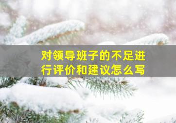 对领导班子的不足进行评价和建议怎么写