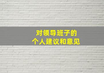 对领导班子的个人建议和意见