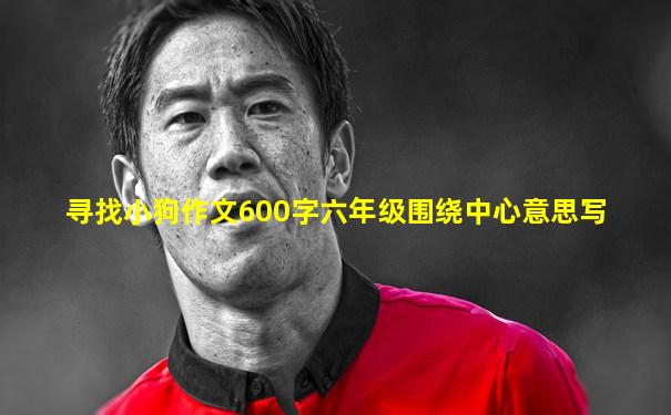 寻找小狗作文600字六年级围绕中心意思写