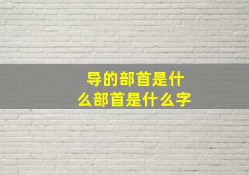 导的部首是什么部首是什么字