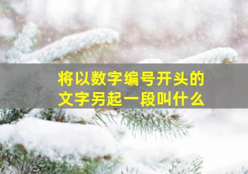 将以数字编号开头的文字另起一段叫什么