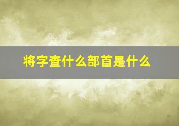 将字查什么部首是什么