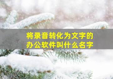 将录音转化为文字的办公软件叫什么名字