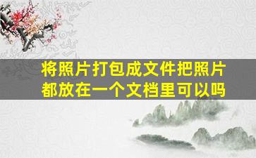 将照片打包成文件把照片都放在一个文档里可以吗