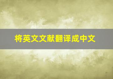 将英文文献翻译成中文