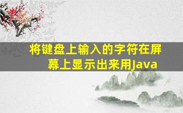 将键盘上输入的字符在屏幕上显示出来用Java