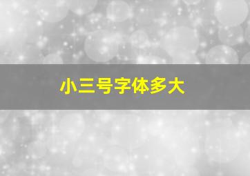 小三号字体多大