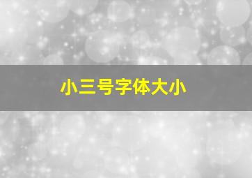 小三号字体大小