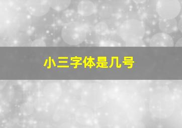 小三字体是几号