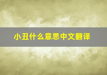 小丑什么意思中文翻译