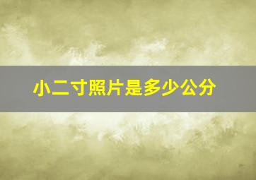 小二寸照片是多少公分