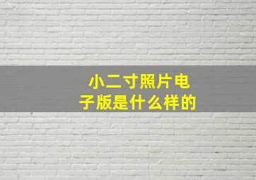 小二寸照片电子版是什么样的