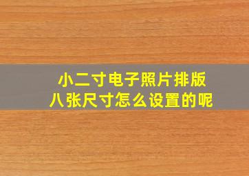 小二寸电子照片排版八张尺寸怎么设置的呢