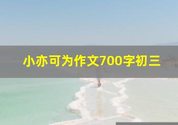 小亦可为作文700字初三