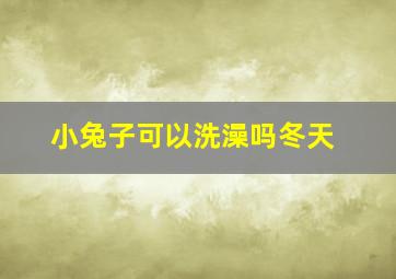 小兔子可以洗澡吗冬天