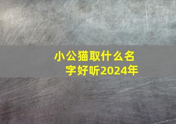 小公猫取什么名字好听2024年