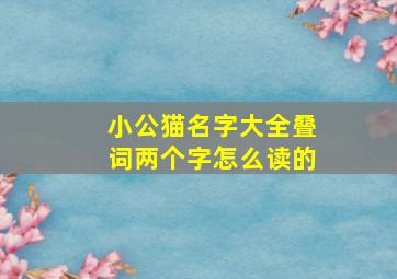 小公猫名字大全叠词两个字怎么读的