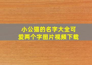 小公猫的名字大全可爱两个字图片视频下载