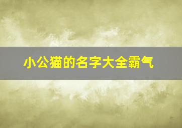 小公猫的名字大全霸气