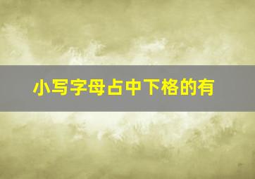 小写字母占中下格的有