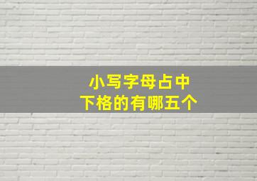 小写字母占中下格的有哪五个