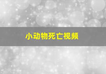 小动物死亡视频