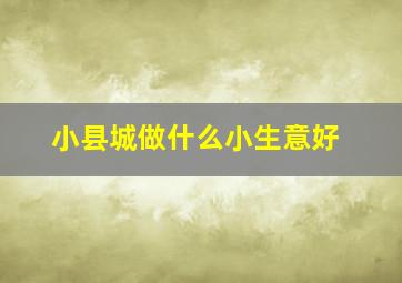 小县城做什么小生意好