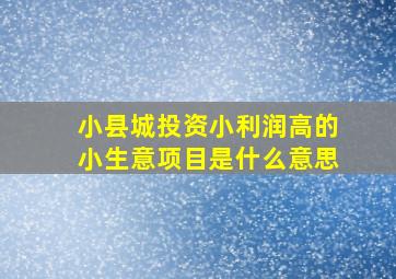 小县城投资小利润高的小生意项目是什么意思