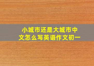 小城市还是大城市中文怎么写英语作文初一