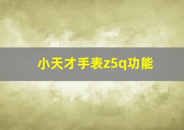 小天才手表z5q功能