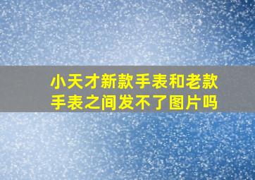 小天才新款手表和老款手表之间发不了图片吗