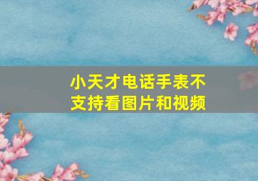 小天才电话手表不支持看图片和视频