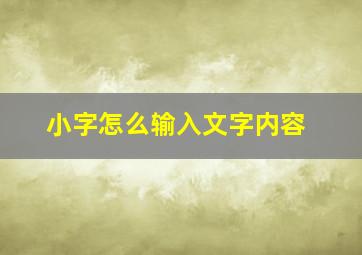 小字怎么输入文字内容