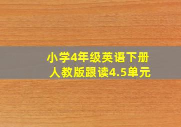 小学4年级英语下册人教版跟读4.5单元