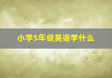 小学5年级英语学什么