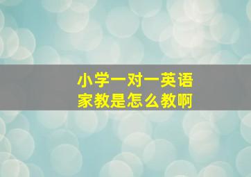 小学一对一英语家教是怎么教啊