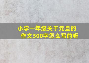 小学一年级关于元旦的作文300字怎么写的呀