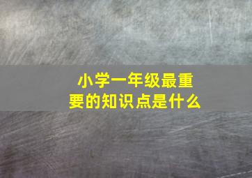 小学一年级最重要的知识点是什么