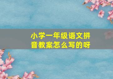 小学一年级语文拼音教案怎么写的呀