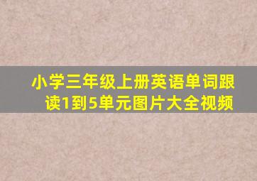 小学三年级上册英语单词跟读1到5单元图片大全视频