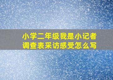 小学二年级我是小记者调查表采访感受怎么写