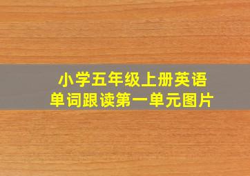 小学五年级上册英语单词跟读第一单元图片