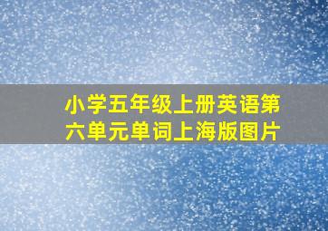 小学五年级上册英语第六单元单词上海版图片