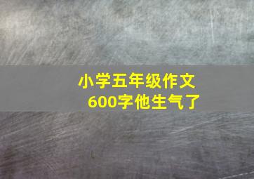 小学五年级作文600字他生气了