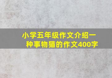 小学五年级作文介绍一种事物猫的作文400字