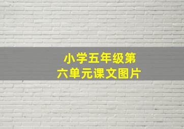 小学五年级第六单元课文图片