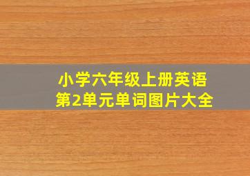 小学六年级上册英语第2单元单词图片大全