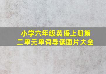 小学六年级英语上册第二单元单词导读图片大全