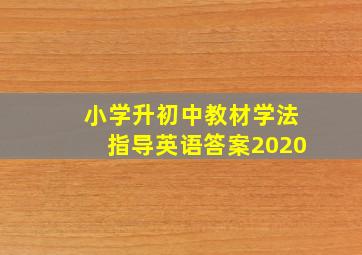 小学升初中教材学法指导英语答案2020