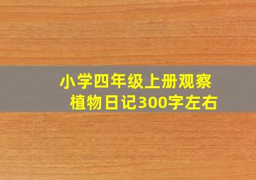 小学四年级上册观察植物日记300字左右